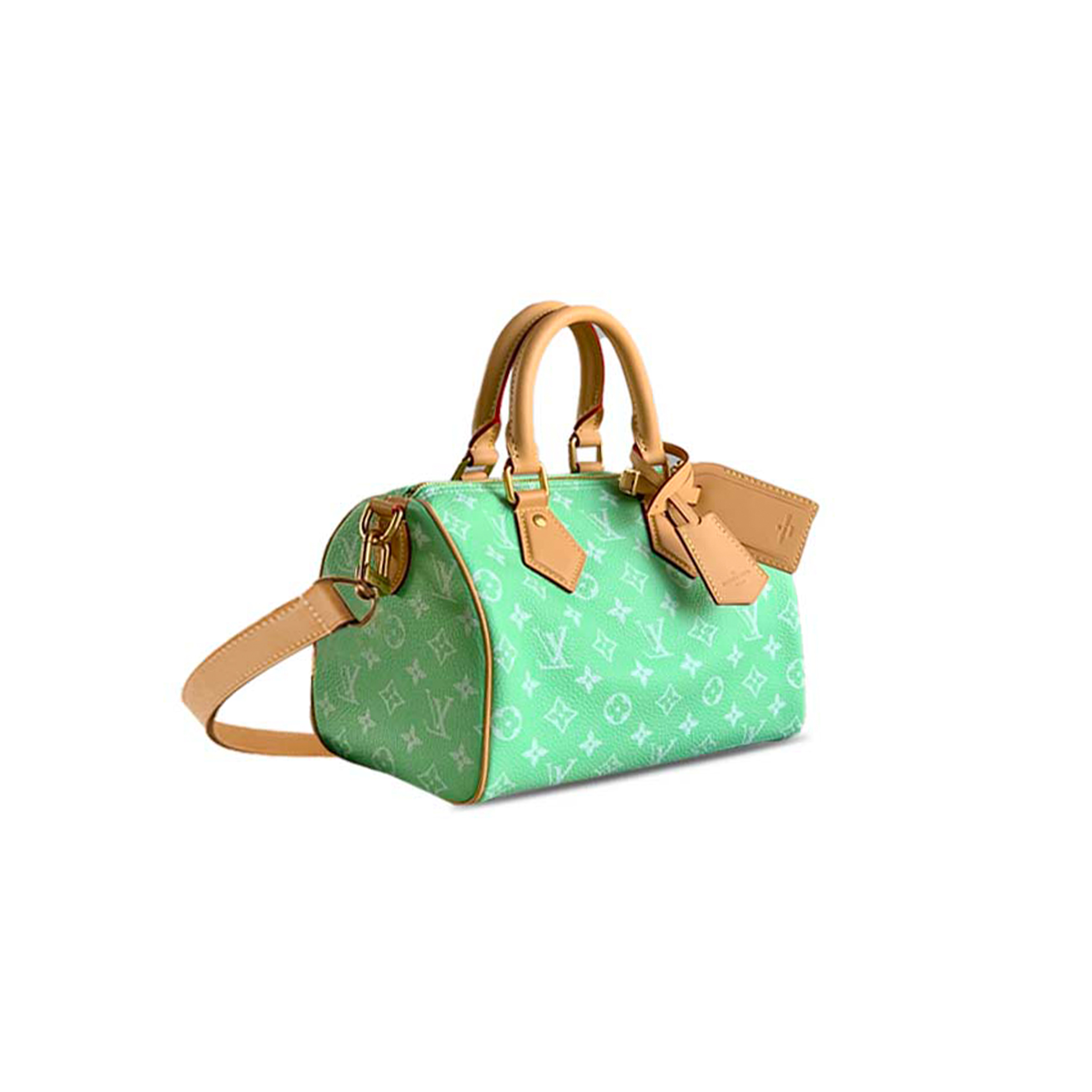 l0vis Vvtt0n master speedy p9 bandouliÈre 25 m24423 (25*15*15cm)
